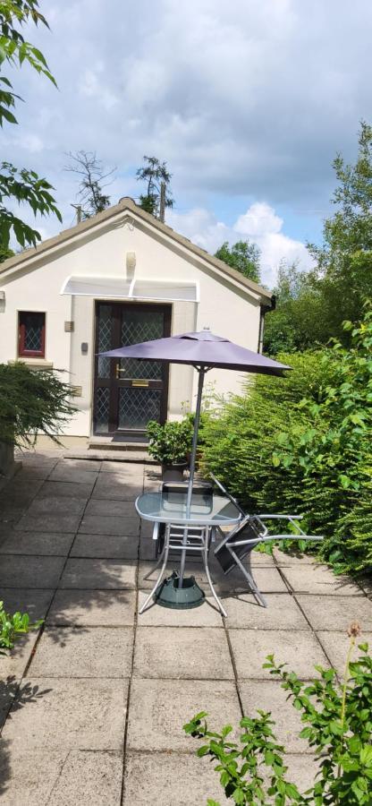 Oak Cottage 3 Km From Rock Of Cashel Cashel  Exterior photo